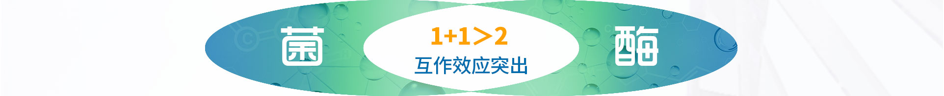乐释菌肽酶（初稿）_09.jpg