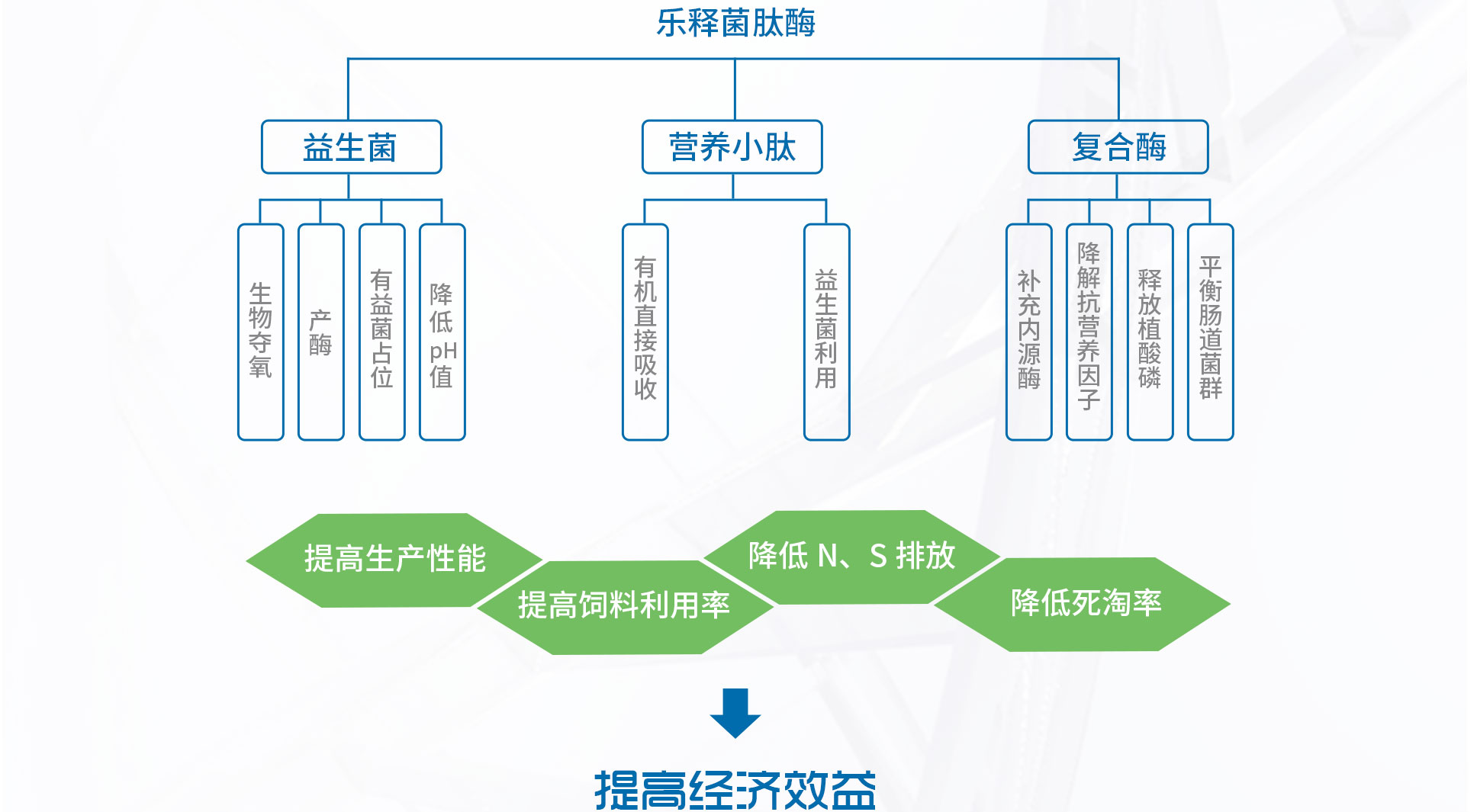 乐释菌肽酶（初稿）_13.jpg
