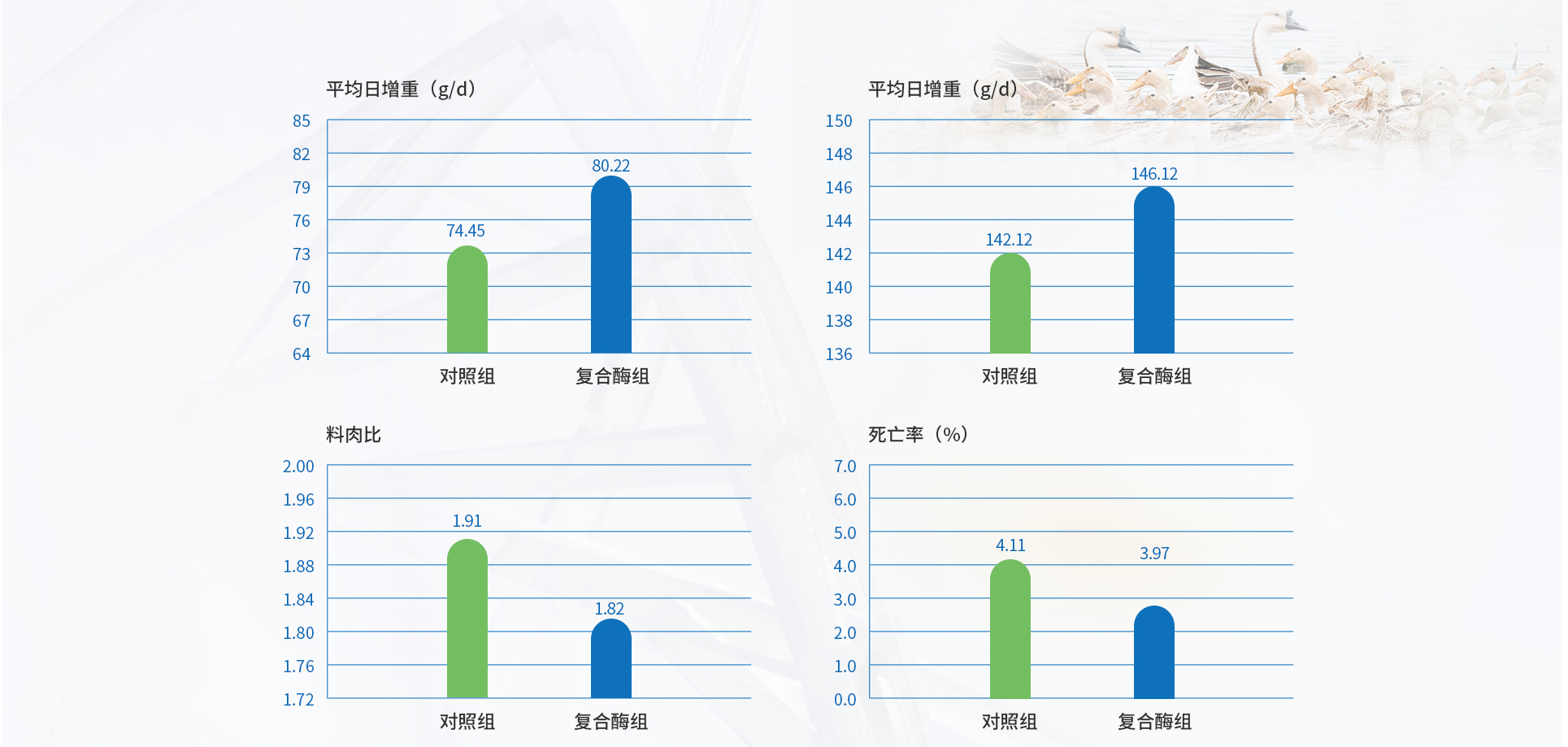 肉禽耐高温复合酶（初稿）_12.jpg