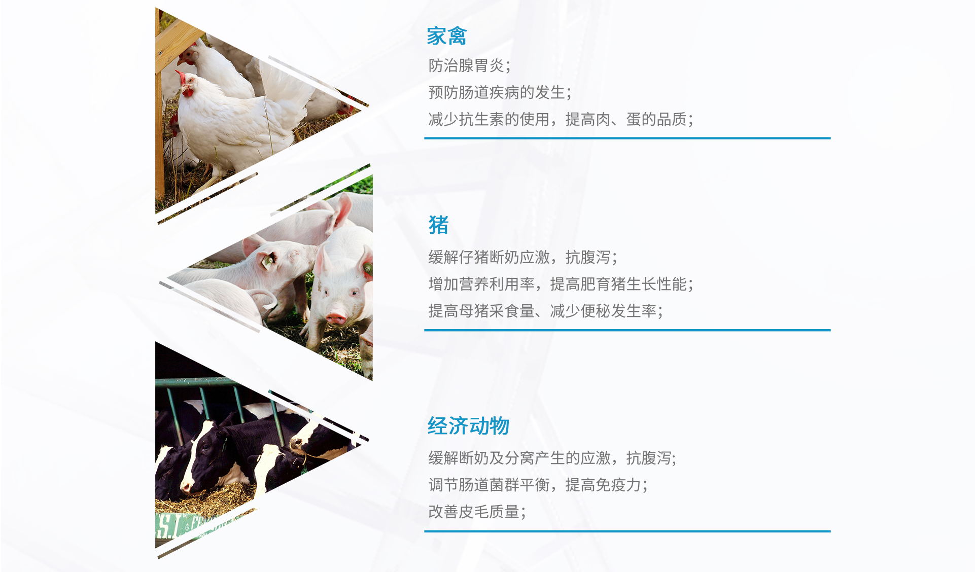 奕多帮—肠道健康解决方案（初稿）_03.jpg